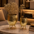 Forma Livings Dual-Finish Luxe Hammered Planter Set – Gold & Silver Nickel Edition
